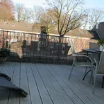 Rent 1 bedroom apartment of 47 m² in Tilburg