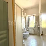 Rent 3 bedroom house of 65 m² in Velletri