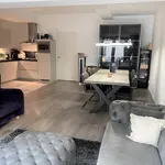 Rent 2 bedroom apartment of 85 m² in  Haarlem