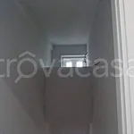 Rent 3 bedroom apartment of 80 m² in Frosinone