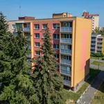 Rent 1 bedroom apartment in Ostrava