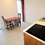 Pronajměte si 1 ložnic/e byt o rozloze 25 m² v Brno