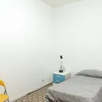 Rent a room in rome