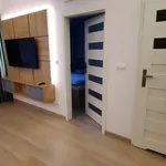 Rent 2 bedroom apartment of 35 m² in Krakow