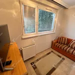 Rent 3 bedroom apartment of 51 m² in Miskolc