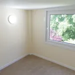 Rent 4 bedroom apartment in prospect