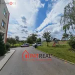 Rent 4 bedroom apartment of 75 m² in Brno