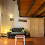 Rent 1 bedroom apartment in Florence