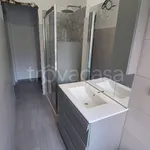 Rent 2 bedroom apartment of 60 m² in Milano