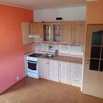 Rent 1 bedroom apartment of 36 m² in Jílové