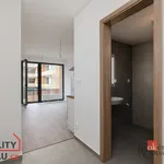 Pronajměte si 1 ložnic/e byt o rozloze 29 m² v Pilsen