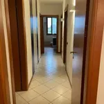 Appartamento arredato con terrazzo Centro