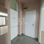 Rent 2 bedroom apartment of 50 m² in Miskolc