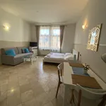 Rent 1 bedroom apartment of 35 m² in Prague