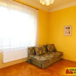 Rent 4 bedroom apartment of 110 m² in Znojmo