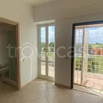 Rent 3 bedroom apartment of 74 m² in Zagarolo