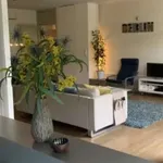 Rent 1 bedroom apartment in berlin