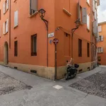 Rent 1 bedroom apartment in Bologna