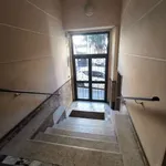 Rent 2 bedroom apartment of 70 m² in Rome