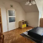 Rent 1 bedroom apartment of 62 m² in Budapest