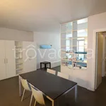 Rent 1 bedroom apartment of 45 m² in Curtatone