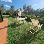 2-room flat excellent condition, ground floor, Olmo, Santa Caterina, Falcinello, Sarzana