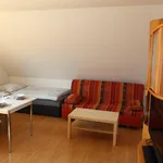 Rent 1 bedroom apartment of 144 m² in Brno