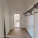 Rent 3 bedroom apartment of 70 m² in České Budějovice