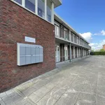 Huur 3 slaapkamer appartement van 82 m² in Splegelpolder