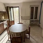 Rent 4 bedroom apartment of 125 m² in Torino