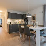 Rent 2 bedroom apartment of 75 m² in Hamburg