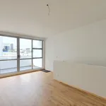 Rent 3 bedroom apartment in Auckland