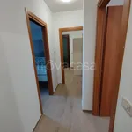 Rent 5 bedroom apartment of 110 m² in San Benedetto del Tronto