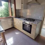 Rent 3 bedroom apartment of 70 m² in Padova