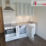 Rent 1 bedroom apartment of 36 m² in Prague