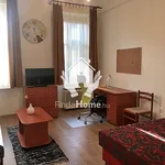 Rent 1 bedroom house of 50 m² in Debrecen