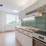 Pronájem bytu 2+1 60m²