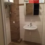 Rent 1 bedroom apartment in Trutnov