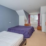 Rent 3 bedroom flat in Belfast