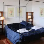 Rent 1 bedroom apartment in Florence