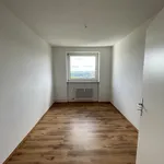 Rent 3 bedroom apartment of 78 m² in Velbert