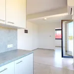 Rent 2 bedroom apartment of 27 m² in Rybnik