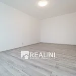 Pronájem bytu 2+1 54m²