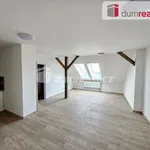 Rent 2 bedroom apartment in Pilsen