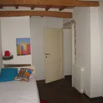 Rent 3 bedroom apartment of 50 m² in Siena