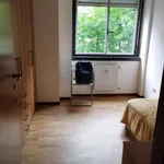 Rent 2 bedroom apartment in Milan