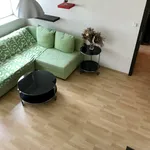 Rent 2 bedroom apartment of 55 m² in Prague