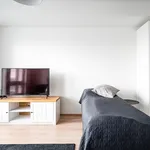 Rent 1 bedroom apartment of 25 m² in   Tampere