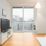 Rent 1 bedroom apartment of 538 m² in vienna