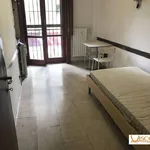 Rent 1 bedroom apartment of 29 m² in Milano